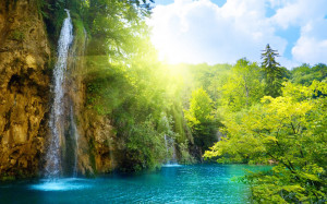 ... Tiere Übersicht · Natur Waterfalls desktop wallpaper - Forest Falls