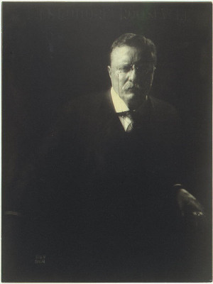 :Theodore Roosevelt by Edward J. Steichen (1908)Just because Teddy ...