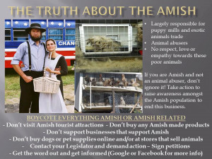Anti-Amish Bigotry — The Safest Kind