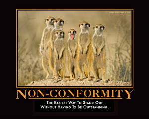 Social Conformity Examples