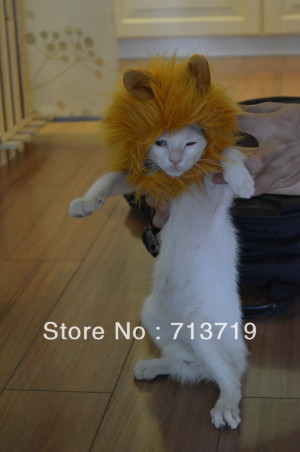 Lion-s-Mane-Cat-Hat-wholesale-cat-s-toy-like-lion-mane-hat-Stuffed ...