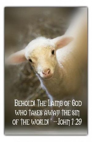 toward him and said behold the lamb of god who takes away the sin of ...