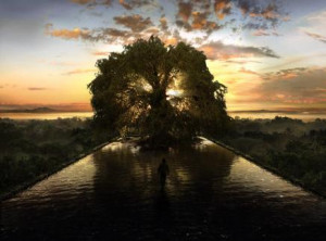 Exus das Almas: Celebremos la vida!