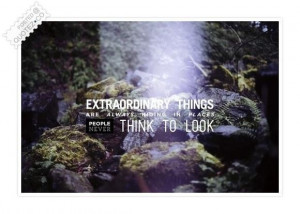 Extraordinary things are always hiding quote