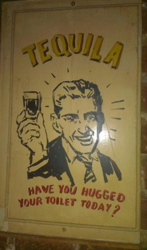 tequila, have you hugged your toilet today, funny pictures