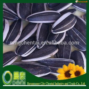 Edible_Chinese_Shelled_Sunflower_Seeds_6009_Sale.jpg