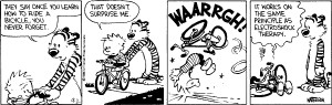Best Calvin and Hobbes Strips