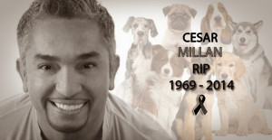 ... that 'dog whisperer' Cesar Millan had died of heart attack. Twitter
