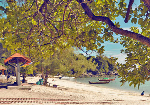 50 Inspiring Quotes on Patience (Find Peace of Mind)