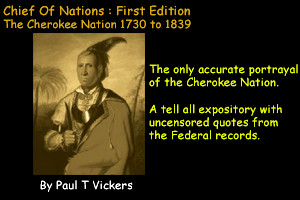 Real Provision Rainbow