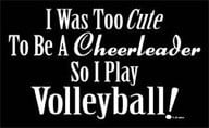 cute volleyball quotes