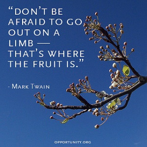 Amazing quote by #MarkTwain. Go out on a limb...he was an amazing man.