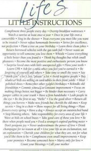 Life's little instructions