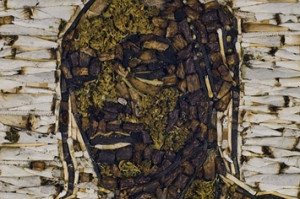 portrait-of-snoop-dogg-made-from-weed-1-10817-1356457392-3_big.jpg