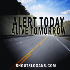 Here are catchy and clever Road Safety Slogans and Sayings. Safety ...