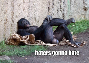 232338-haters-gonna-hate-haters-gonna-hate-monkey-big-balls.jpg