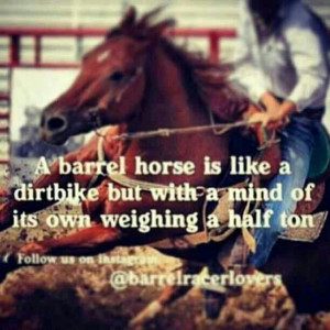 Equestrian Quotes, Barrel Horse, Hors Quotes, Barrels Horses, Cowgirls ...