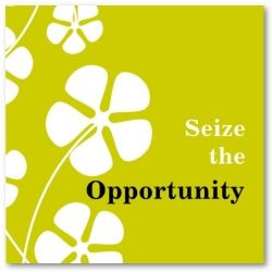 opportunity quotes