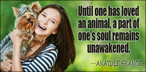 Human loves puppy - quotes about animals | JUST HAPPY QUOTES