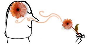 domingo, 3 de abril de 2011