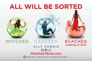 Reached by Ally Condie Challenges