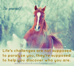 Beautiful horse and quote