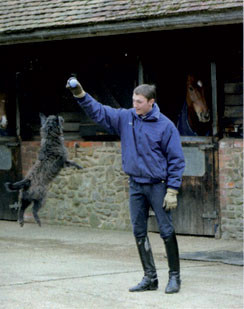 Andrew Gould Statistics