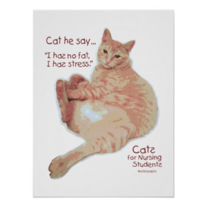 Cats for Nursing Students - I has Stress Print