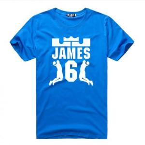 2013 NBA Champion Miami Heat Lebron James 6 Dunk logo t shirt details: