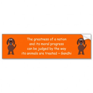 Gandhi Animal Rights Quote Cartoon Dog Orange Car Bumper Sticker