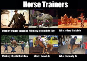 Too Funny! :P horse quote i cant stop laughing, sadly... its very true ...