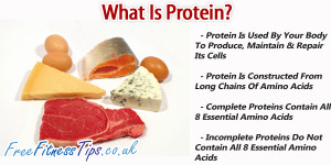 What Is Protein?