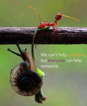 Everyone can help someone