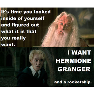 Harry Potter Funny - harry-potter-vs-twilight Photo