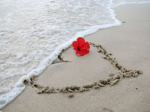 Love Heart Red Flower on Beach