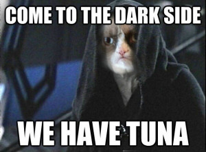 Grumpy Cat Lands a Movie Deal