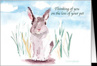 Quotes About Losing A Pet Rabbit ~ Loss of Rabbit Sympathy Cards from ...