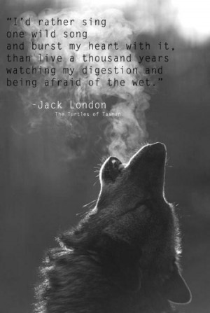 Jack London Quotes (Images)