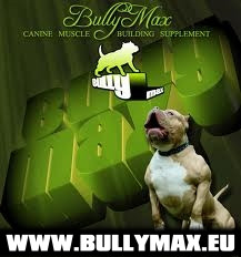 Bully Max Dogs