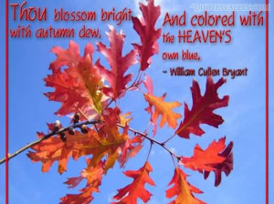 ... Blossom Bright And Colored With Autumn Des, The Heaven’s Own Blue