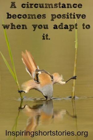 ... quotes-short-inspirational-quotes-inspiring-quotes-thought-for-the-day