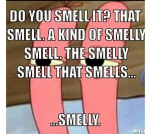 you smell that? That smell. A kind of smelly smell. The smelly smell ...