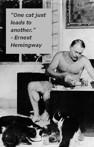 found on Google to put with the quote, which I inserted. Hemingway ...