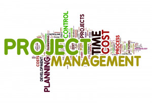 project management capabilities in an enterprise content management ...