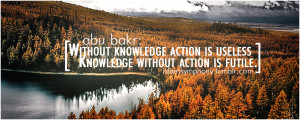 without knowledge action is useless knowledge without action is futile ...