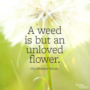 weed is but an unloved flower.