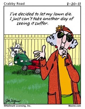 maxine summer Images