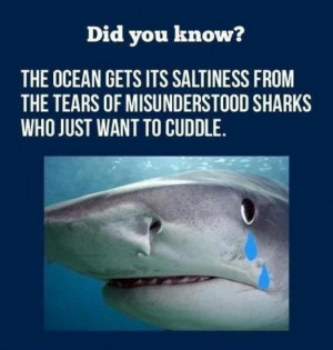 Did you know the ocean gets its saltiness from the tears of ...