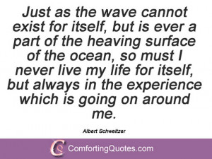 Albert Schweitzer Quotes