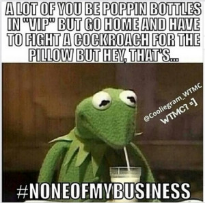 Kermit the Frog Meme None of My Business
